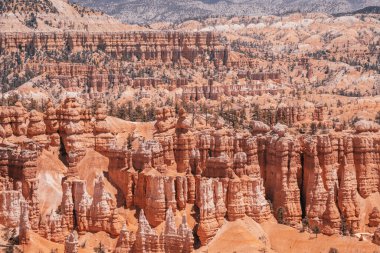 Bryce Canyon Ulusal Parkı 'nda güzel kaya oluşumları