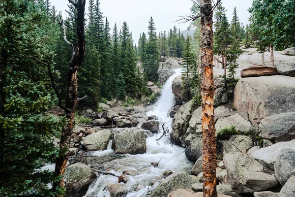 Vodopád Alberta Falls Národním Parku Skalistých Hor Coloradu — Stock fotografie