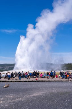 Wyoming, ABD - 10 Ağustos 2021: Yellowstone Ulusal Parkı 'nda Old Faithful' un patlaması için tahta kaldırımlar boyunca turist kalabalığı bekliyor