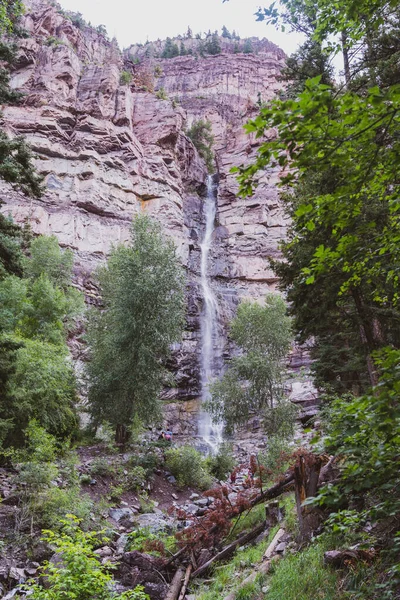 Belle Chute Eau Cascade Falls Dans Parc Ouray Colorado — Photo