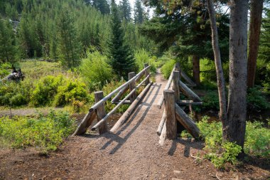 Yellowstone Ulusal Parkı 'ndaki Wraith Şelalesi' ne giden toprak yürüyüş yolu ve köprü.