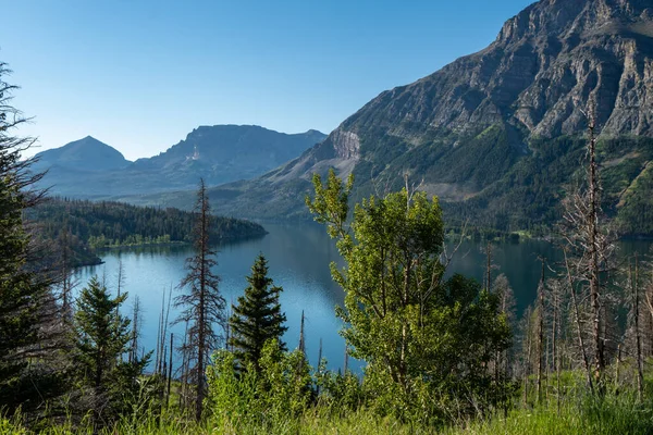 Poranny Widok Park Narodowy Lodowiec Wzdłuż Going Sun Road Montanie — Zdjęcie stockowe