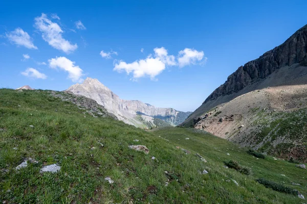 Acima Árvore Tundra Longo Trilha Blue Lakes Sneffels Wilderness Área — Fotografia de Stock