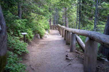 Narada Şelalesi Dağı 'ndaki şelale yolu. Washington 'daki Rainier Ulusal Parkı