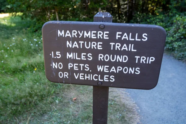 Информационный Знак Природной Тропы Marymere Falls Олимпийском Национальном Парке — стоковое фото