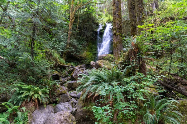 Καταρράκτης Merriman Falls Στο Ολυμπιακό Εθνικό Πάρκο Δάσος — Φωτογραφία Αρχείου