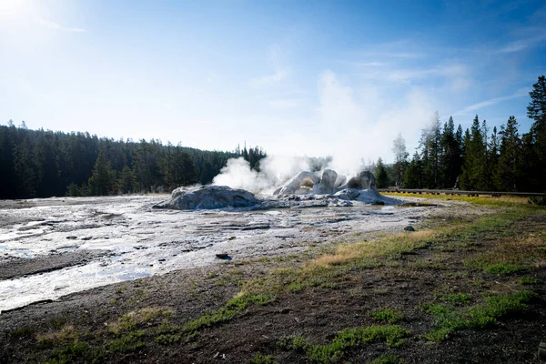 Grotto Geyser Parque Nacional Yellowstone Estados Unidos — Foto de Stock