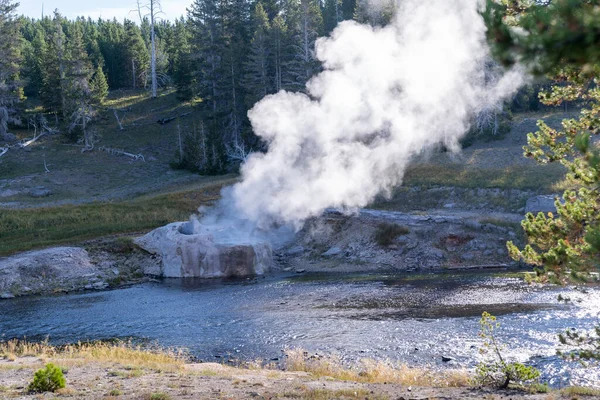 Géiser Riverside Parque Nacional Yellowstone —  Fotos de Stock