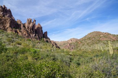 Arizona, Peralta Yolu 'ndaki Supersition Dağları' ndan güzel bir Sonoran çöl sahnesi.