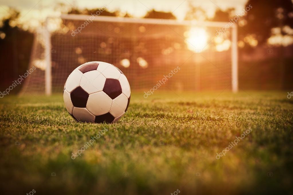Cancha de futbol fotos de stock, imágenes de Cancha de futbol sin royalties  | Depositphotos