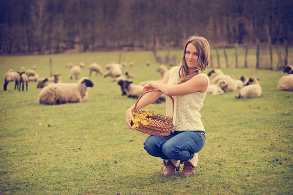 Farm life — Stock Photo, Image