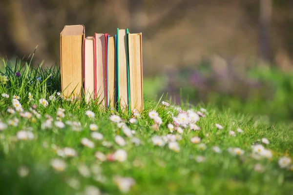 芝生の上の古い本. — ストック写真