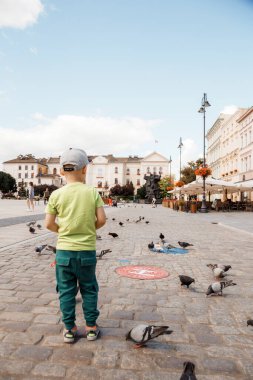 Oğlan ve kuşlar. Küçük çocuk güvercinleri besliyor. Kentte çocuklu kuşlar. Şehir meydanındaki çocuk. Seyahat et. Bydgoszcz.