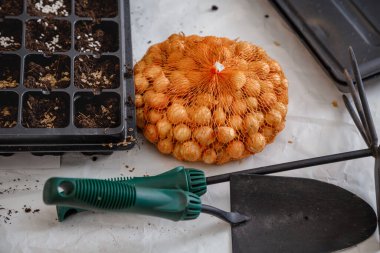 Bahçe eşyaları masanın üstünde. Çocuk küçük bir tohum serasına tohum eker. Her şey fidelerin yetişmesi için. Bahar ekimi. Bahçe.