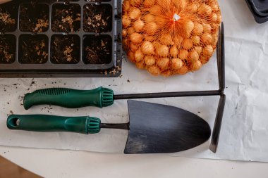 Bahçe eşyaları masanın üstünde. Çocuk küçük bir tohum serasına tohum eker. Her şey fidelerin yetişmesi için. Bahar ekimi. Bahçe.