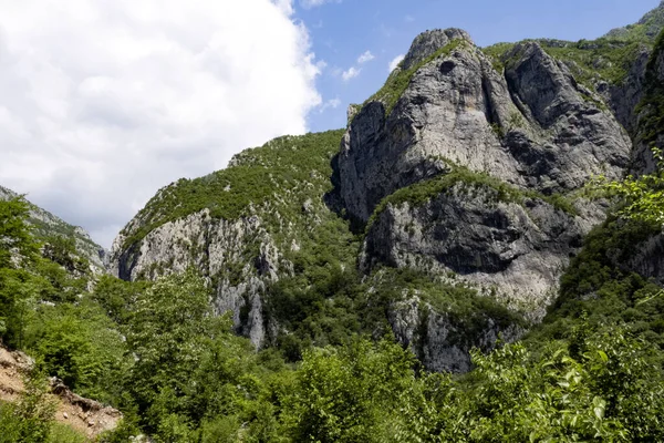 Beauties Overgrown Rocky Mountains Montenegro — Stock Photo, Image