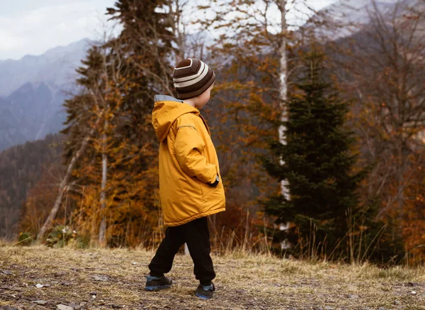 Parlak sarı ceketli bir çocuk dağlarda yürüyor. Bir çocukla seyahat etmek. Sağlıklı dağ havası.