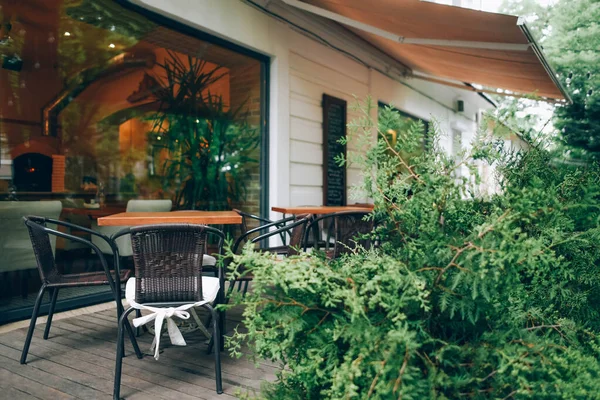 Terraço Café Verão Com Belas Árvores Arbustos Redor Café Sem — Fotografia de Stock