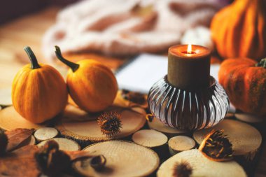 Balkabağı ve sarı yapraklı güzel sonbahar kompozisyonu. Sonbahar yatağı. Merhaba, Autumn. Cadılar Bayramı.