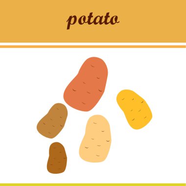 Patates. Taze sebzeler. Organik gıda posteri. Çiftçi pazarı tasarımı. Vektör arkaplanı