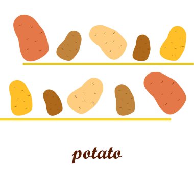 Patates. Taze sebzeler. Organik gıda posteri. Çiftçi pazarı tasarımı. Vektör arkaplanı