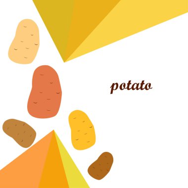 Patates. Taze sebzeler. Organik gıda posteri. Çiftçi pazarı tasarımı. Vektör arkaplanı