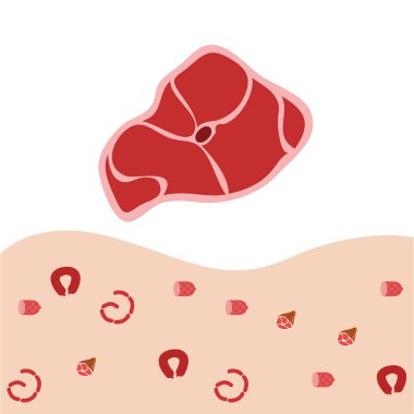 et ürünleri vektör arkaplanı, dijital duvar kağıdı