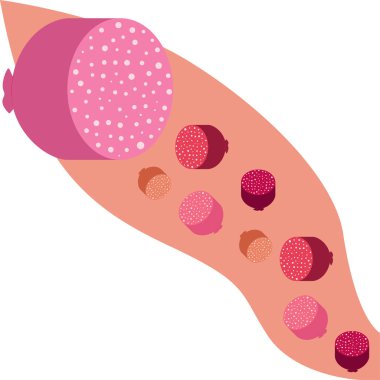 Sosisler, taze et ürünleri vektör arka planı