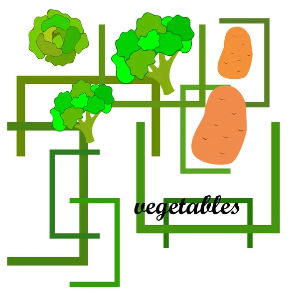 Aardappel Kool Broccoli Verse Groenten Biologisch Voedsel Poster Landbouwmarktordening Vectorachtergrond — Stockvector