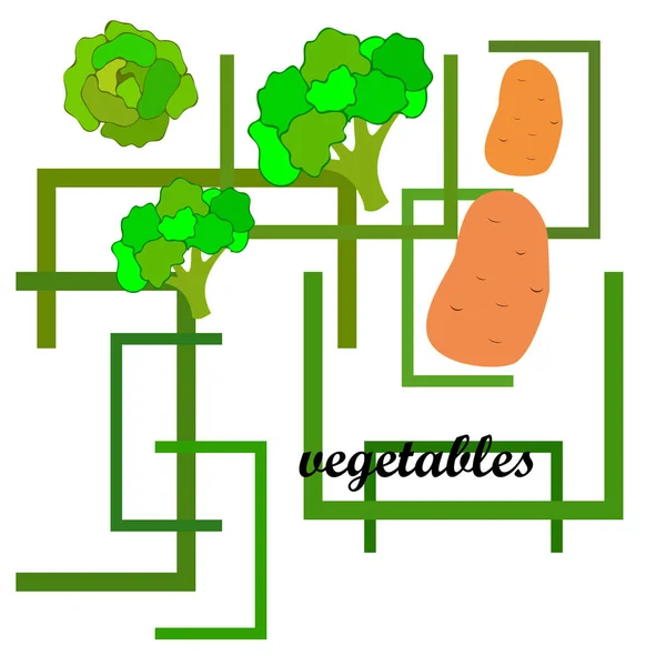 Картопля Капуста Броколі Свіжі Овочі Плакат Органічної Їжі Дизайн Фермерського — стоковий вектор