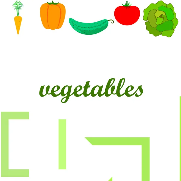 Organic Vegetables Vector Illustration Background — Stock Vector