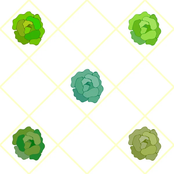 Gabbage Légumes Frais Affiche Vectorielle Alimentaire Biologique — Image vectorielle