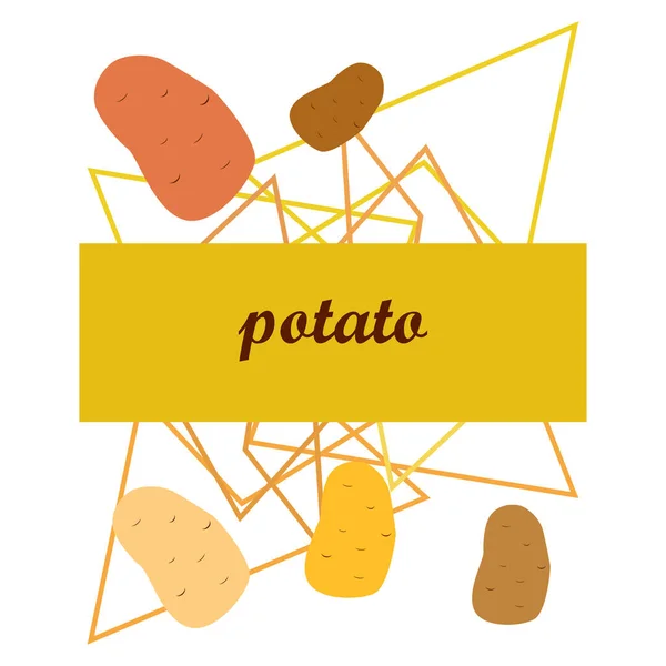 Potatisen Färska Grönsaker Affisch För Ekologisk Mat Utformning Jordbruksmarknaden Vektor — Stock vektor