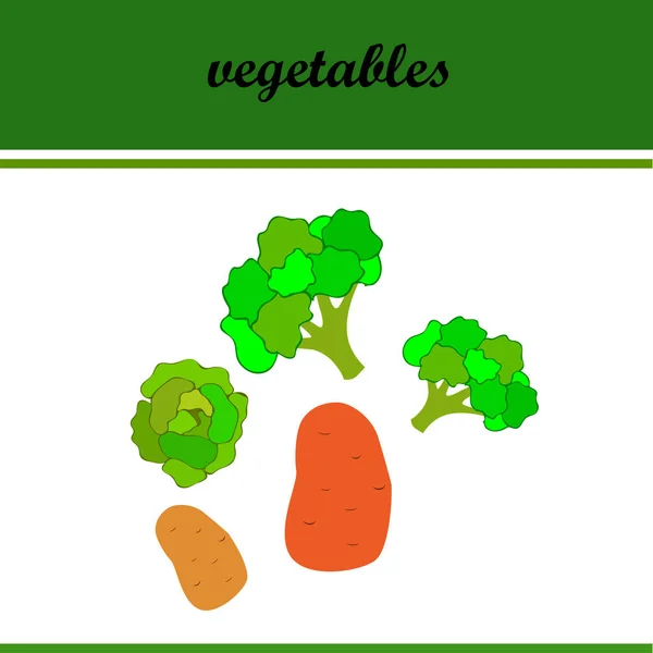 Картошка Капуста Брокколи Свежие Овощи Плакат Органической Едой Дизайн Фермерского — стоковый вектор