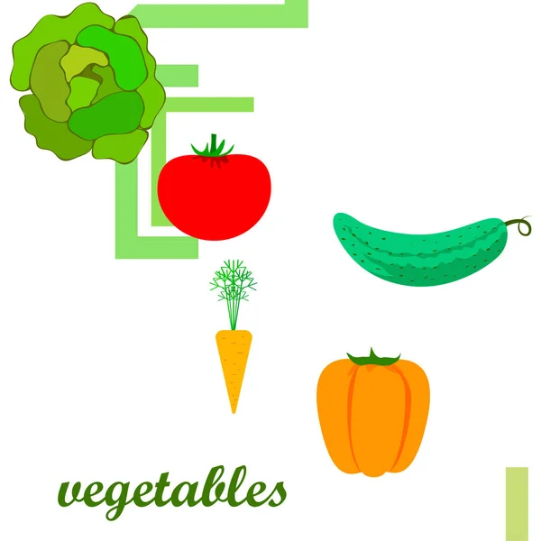 Biologische Groenten Vector Illustratie Achtergrond — Stockvector
