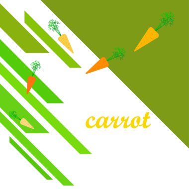 Havuç. Organik gıda posteri. Çiftçi pazarı tasarımı. Vektör arkaplanı.