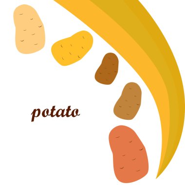Patates. Taze sebzeler. Organik gıda posteri. Çiftçi pazarı tasarımı. Vektör arkaplanı