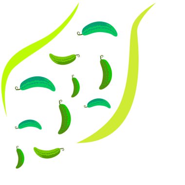 Taze salatalık, çiftçi pazarı tasarımı. Vektör arkaplanı.