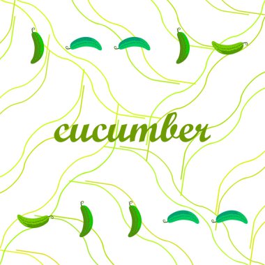 Taze salatalık, çiftçi pazarı tasarımı. Vektör arkaplanı.