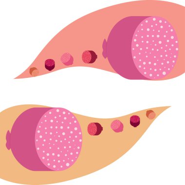 Sosisler, taze et ürünleri vektör arka planı