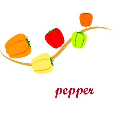 Biber. Taze sebzeler. Organik gıda posteri. Çiftçi pazarı tasarımı. Vektör arkaplanı