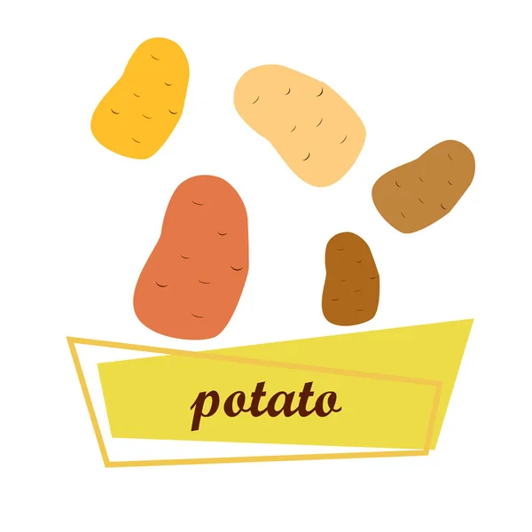 土豆Potato 新鲜蔬菜 有机食品海报 农贸市场设计 矢量背景 — 图库矢量图片