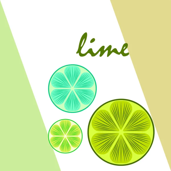 Vector Illustratie Limoen Fruit Achtergrond — Stockvector