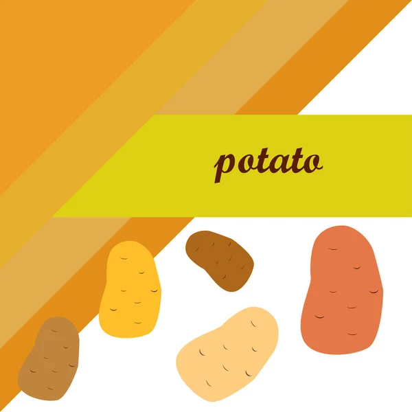 Patates Taze Sebzeler Organik Gıda Posteri Çiftçi Pazarı Tasarımı Vektör — Stok Vektör