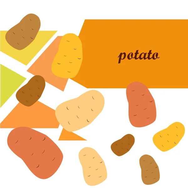 Potatisen Färska Grönsaker Affisch För Ekologisk Mat Utformning Jordbruksmarknaden Vektor — Stock vektor