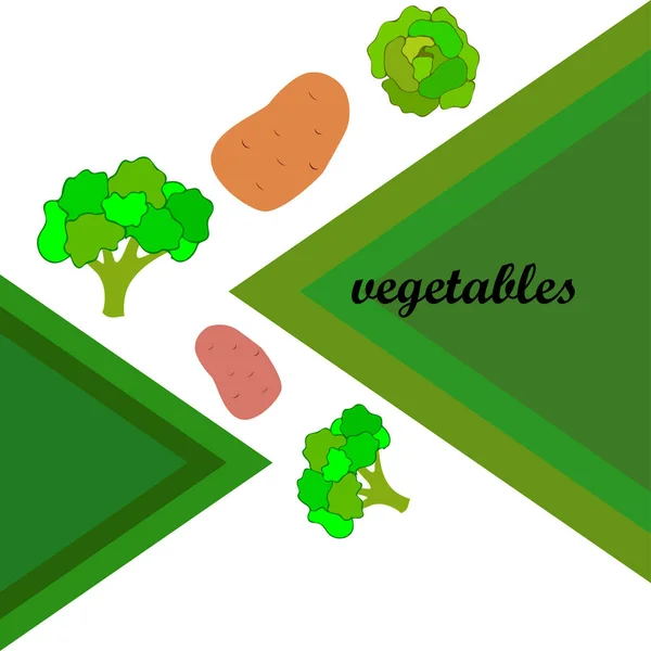 Aardappel Kool Broccoli Verse Groenten Biologisch Voedsel Poster Landbouwmarktordening Vectorachtergrond — Stockvector