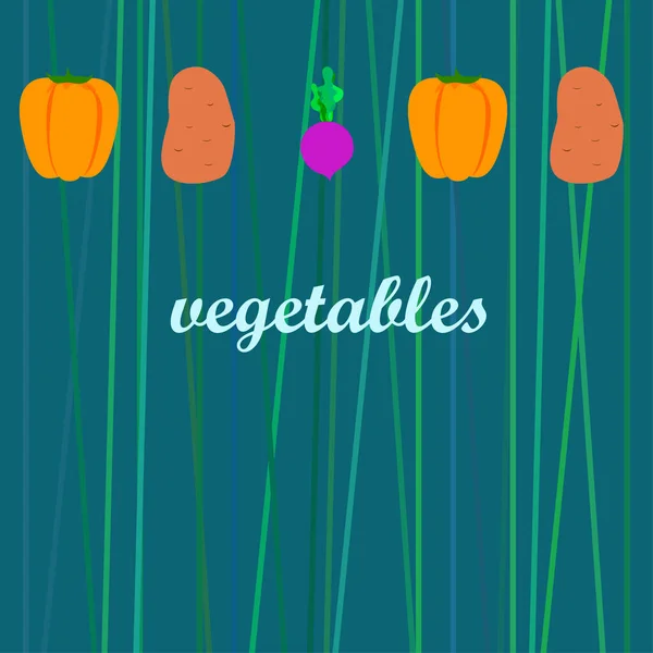 Αφίσα Βιολογικών Λαχανικών Διανυσματική Απεικόνιση — Διανυσματικό Αρχείο