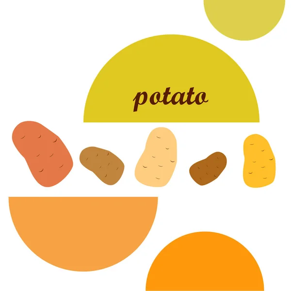 Patata Verduras Frescas Cartel Alimentos Orgánicos Diseño Del Mercado Agricultores — Vector de stock