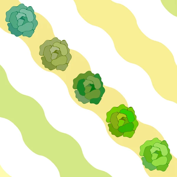 Gabbage Frisches Gemüse Plakat Für Bio Lebensmittel — Stockvektor