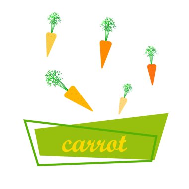 Havuç. Organik gıda posteri. Çiftçi pazarı tasarımı. Vektör arkaplanı.